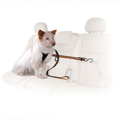 Kurgo Auto Zipline for Dogs Adjustable Dog Safety Belt Leash Pet Seat Belt Tether Reduce Distracted Driving Includes Dog Leash & Carabiner Clips 6 feet